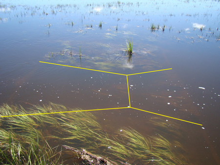 completely submerged Cutthroat Flume