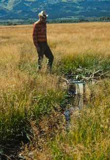parshall flume used to measure water rights irrigation flow in Colorado