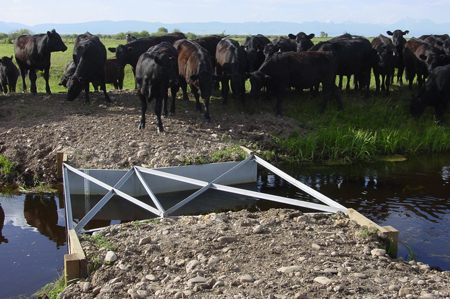 Cutthroat Flume experiencing submerged flows at normal flow rates