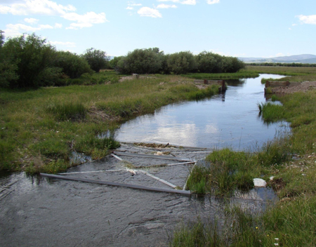 submerging Cutthroat Flume