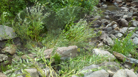 stony water rights creek