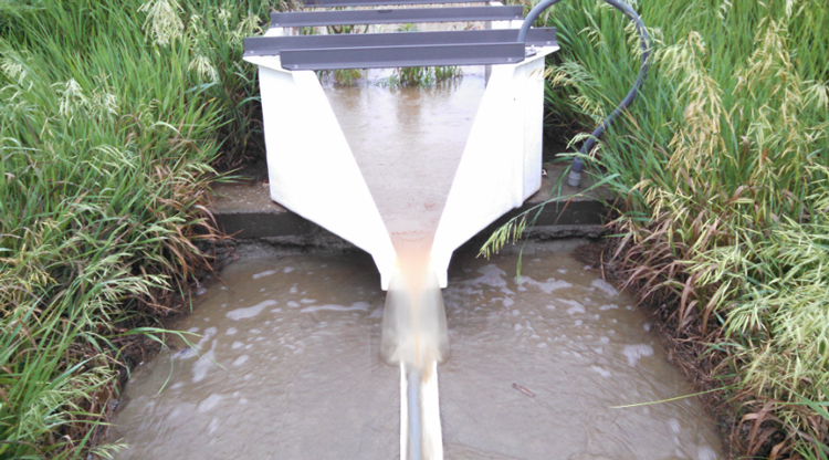 Cover crops dramatically reduce the amount of soil erosion sediment in waters running off a field