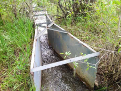 A galvanized steel Parshall Flume doing what it does - measure the flow of water