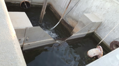 what is a v notch weir