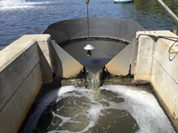 thin-plate v-notch weir measuring lagoon flow