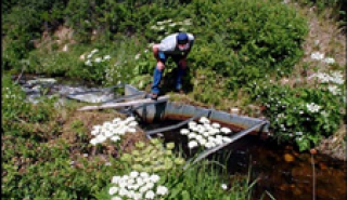 Image for Approach Velocities and Parshall Flumes article