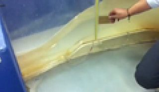 Image for Visualization of Flow in a Parshall Flume (Canaleta Parshall) article