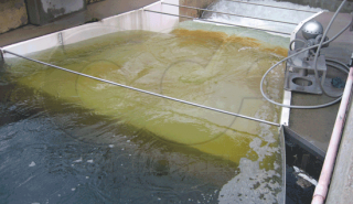 image for Field Report - Flat Wing Walls and Parshall Flumes article