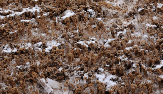 Image for Flow Measurement in Arctic Locations article