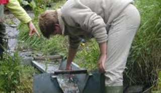 Image for Short Throated vs Long Throated Flumes article