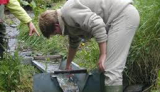 Image for Portable RBC Flumes article