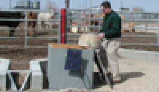 Image for Measuring Feedlot Runoff with Flumes and Weirs article