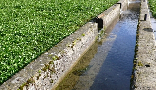 Image for Manning Formula for Determining Open Channel Flows article