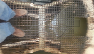 image for Manhole Benches and Metering Manholes article