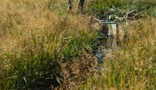 image for Using Parshall Flume in Irrigation Channels article