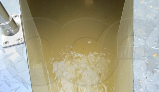 Image for Necessity of Proper Flow Upstream Flow Conditioning in Parshall Flumes article