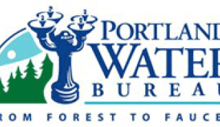 image for Case Study - Dam Seepage Flow Monitoring - Portland Water Bureau article