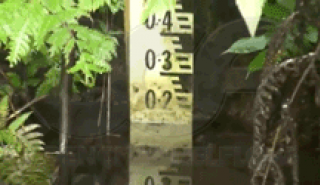 image for Staff Gauge Measurement Errors in Flumes and Weirs article