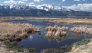 Image for Different Types of Water Rights article