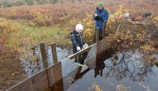 Image for Disadvantages of Weirs article