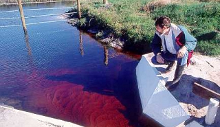 Image for Selecting a Flume for Flow Measurement article