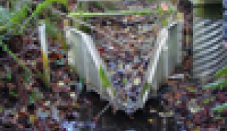 Image for Vegetative Debris and Flumes article