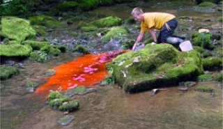 Image for An Overview of Tracer Dilution for Flow Rate Determination in Natural Streams article