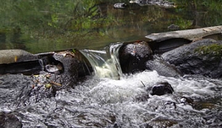 Image for The Use of Thin-Plate Weirs for Downstream Aeration article
