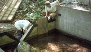 Image for Clean-Outs - A Useful Weir Accessory article